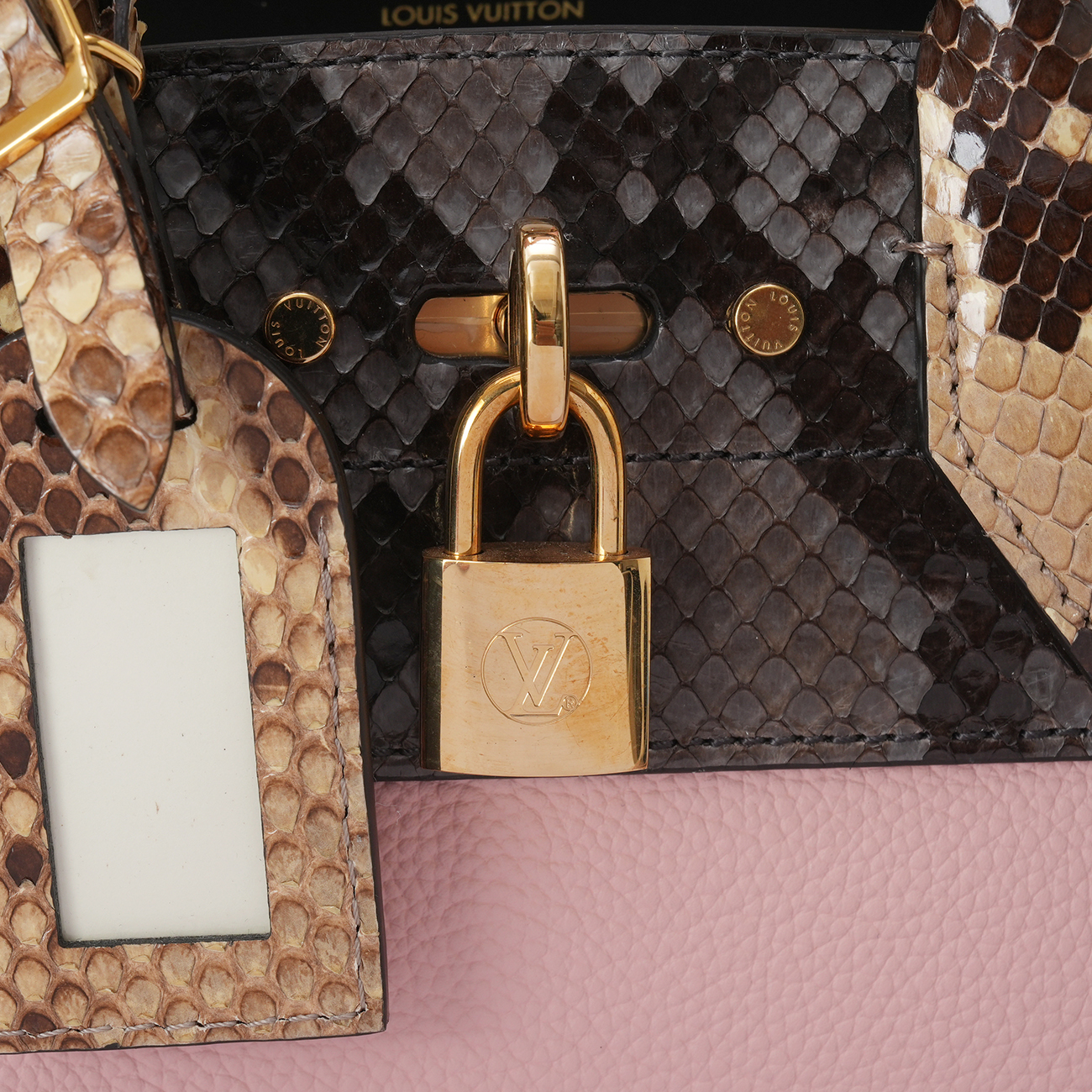 LOUIS VUITTON(USED)루이비통 N96318 파이톤 시티스티머 미니